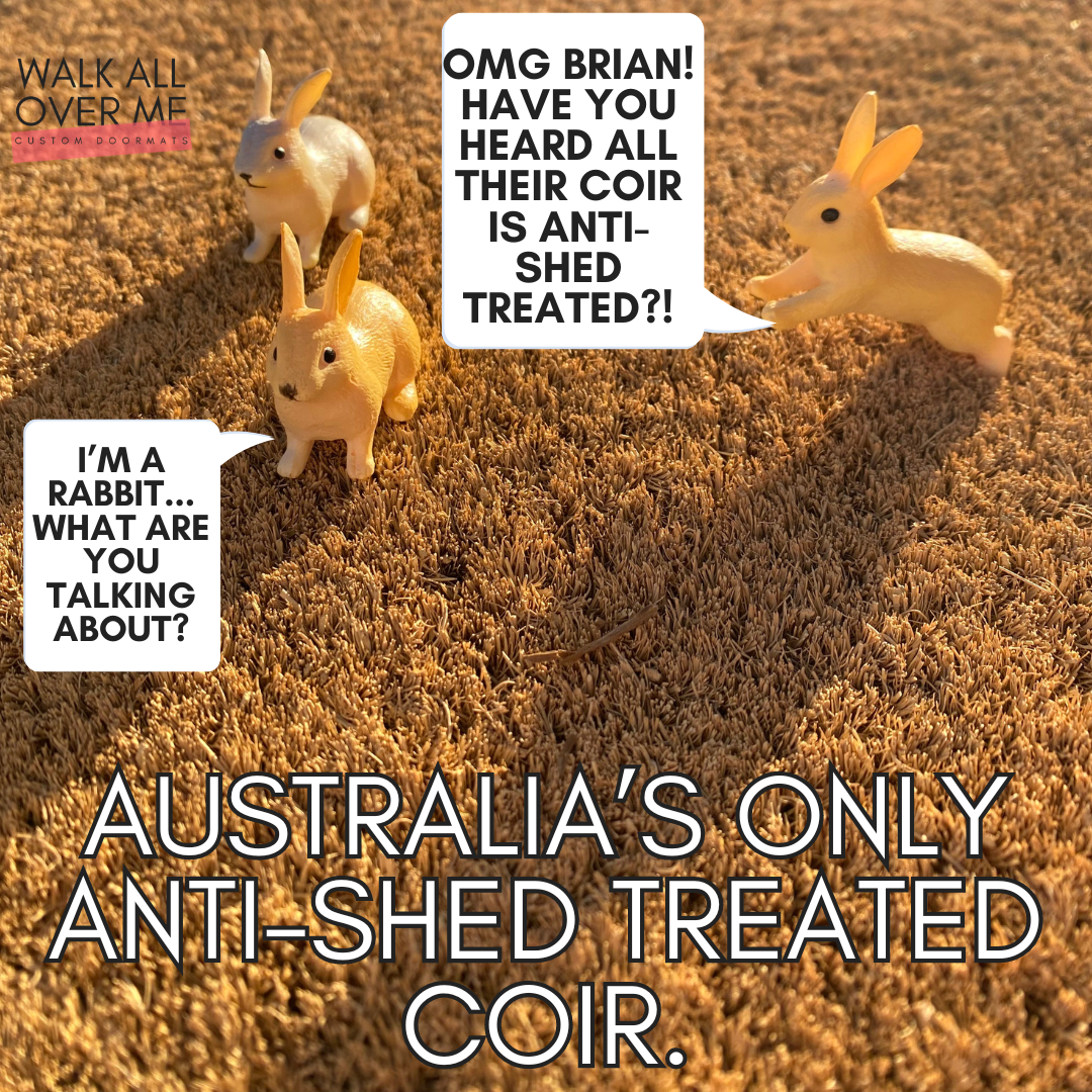 Aloe Aloe - Plant Doormat