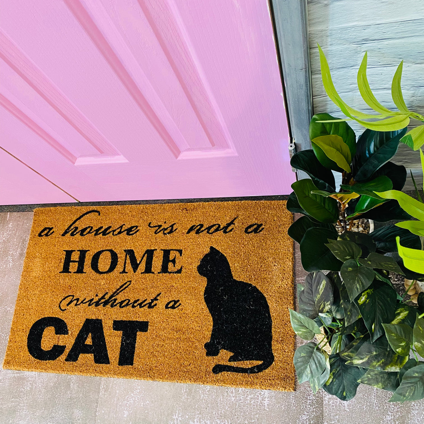 A House Is Not A Home - CAT